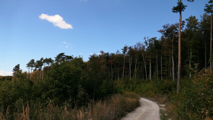Obraz premium Wanderwege und Forstwege am Hohen Lindkogel