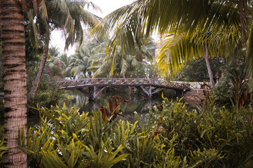 A bridge spans a river in a lush jungle. The bridge is wooden and spans the width of the river. The jungle is full of greenery and the water is calm