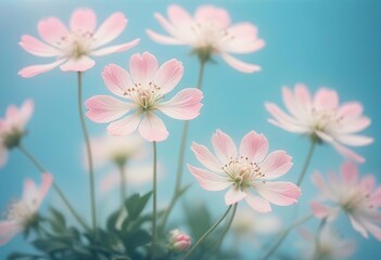 Pink cherry blossom in the garden