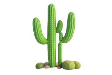 A large cactus with a smaller cactus growing next to it, transparent background