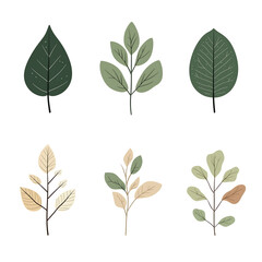 Vector leaves on white background