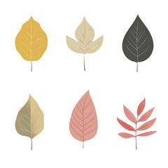Vector leaves on white background
