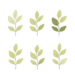 Vector leaves on white background