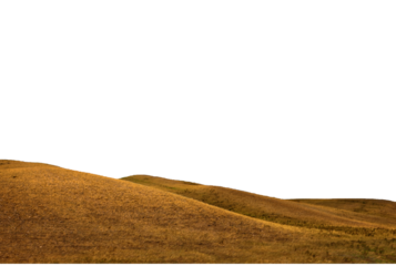 Dune of hot desert sand landscape isolated in a transparent background. Cut out or PNG. Sandy dunes stretch across the golden desert under a clear sky