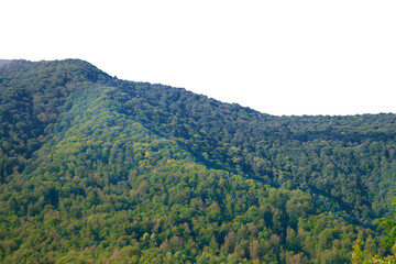 View of tropical forest with side of mountains on background, Adventure cut out transparent...