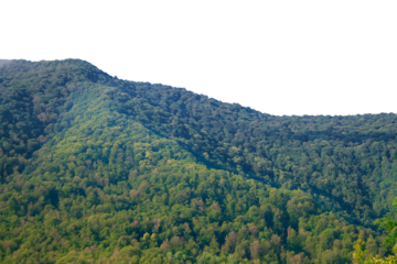 View of tropical forest with side of mountains on background, Adventure cut out transparent isolated on white background PNG file