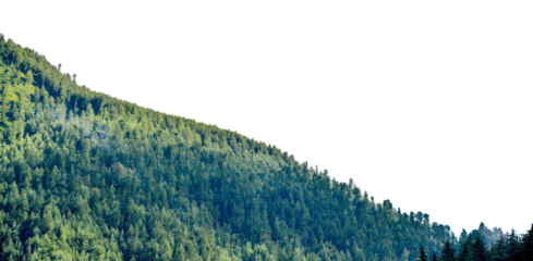 View of tropical forest with side of mountains on background, Adventure cut out transparent isolated on white background PNG file