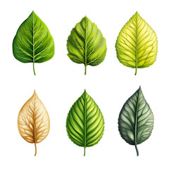 Minimalist style leaf vector on white background.
