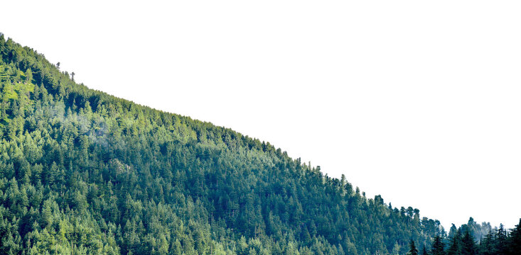 View of tropical forest with side of mountains on background, Adventure cut out transparent isolated on white background PNG file