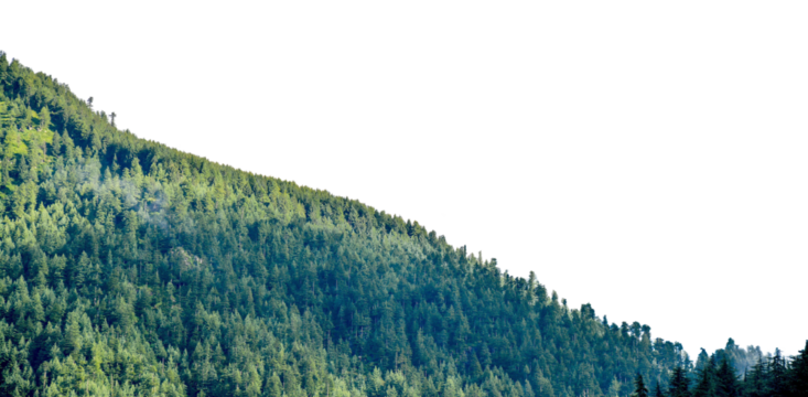 View of tropical forest with side of mountains on background, Adventure cut out transparent isolated on white background PNG file