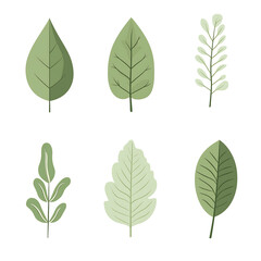 Minimalist style leaf vector on white background.