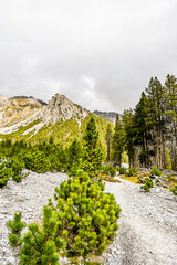 Ofenpass, Zernez, Val dal Botsch, Bergbach, Piz dal Fuorn, Piz dal Botsch, Schotter, Föhren,...