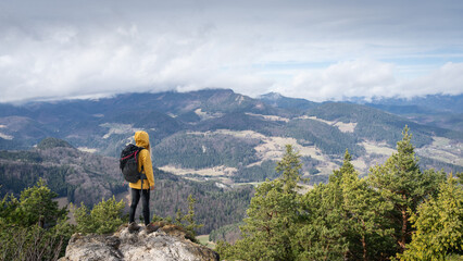 Female hiker on the top of the mountain enjoying the view on landscape down below, Austrian Alps