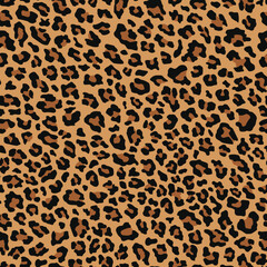 Leopard texture, animal print, seamless background