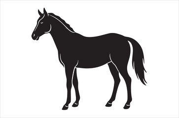 Obraz premium horse illustration