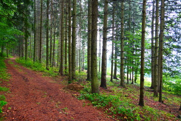 Wandern in der buckligen Welt