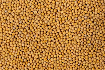 Yellow Dry Mustard Seed Background, Natural Organic Seasoning, Top View.
