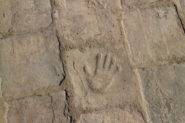 palm on an ancient brick 