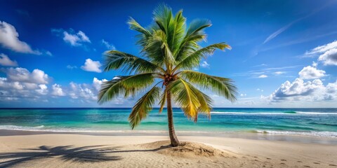 Fototapeta premium A peaceful beach scene unfolds with swaying palm trees under a clear blue sky, offering a serene ocean view that invites tranquility and relaxation.
