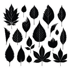 Fototapeta premium Black leaves silhouettes set collection. Generated With Ai