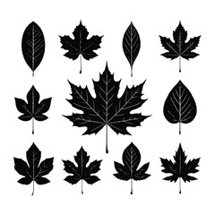 Obraz premium Black leaves silhouettes set collection. Generated With Ai