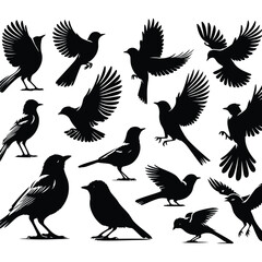Obraz premium Birds silhouette collection. Generated With Ai