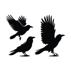 Obraz premium Birds silhouette collection. Generated With Ai