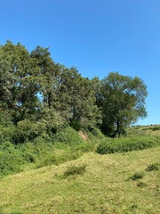 Fototapeta premium Lac de la Vouraie vendée