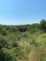 Lac de la Vouraie vendée