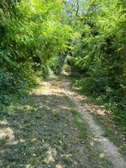Lac de la Vouraie vend&eacute;e