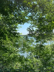 Fototapeta premium Lac de la Vouraie vendée