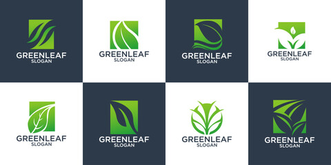set of leaf logo collection symbolizing life logo design vector template