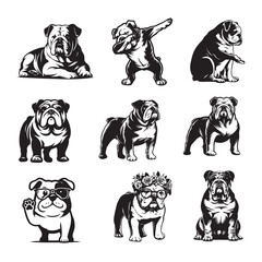 Obraz premium Collection of English Bulldog Dog vector illustration - English Bulldog Dog Different Activities Clipart Design 