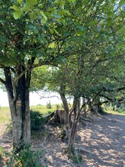 Autour du lac de la Vouraie vendée