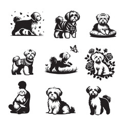 Collection of Miniature Schnauzer Dog vector illustration - Miniature Schnauzer Dog Different Activities Clipart Design
