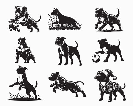 Collection of Staffy Dog vector illustration - Staffy Dog Different Activities Clipart Design
