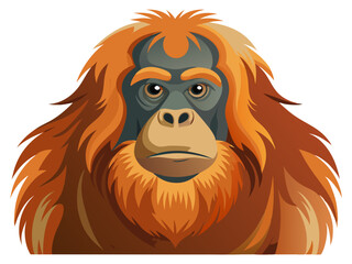 Obraz premium illustration of cartoon orangutan, Sumatran orangutan vector art isolated on white