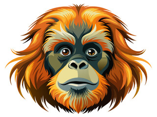 Obraz premium orangutan head vector, Sumatran orangutan vector art isolated on white