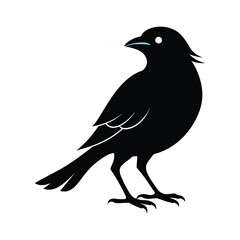 Bird logo sihlouette icon 