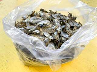 Petek anchovy fish, dried salted fish in a plastic bag. Preserved food.