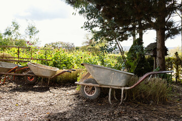 old garden wheelbarrow on the farm