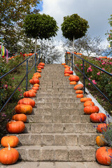 the staircase on the site is decorated with bright pumpkins