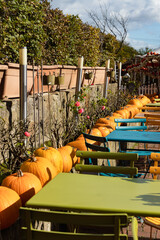The cafe area is decorated with pumpkins. autumn farm fair