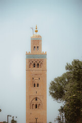Fototapeta premium Marrakech vibes 