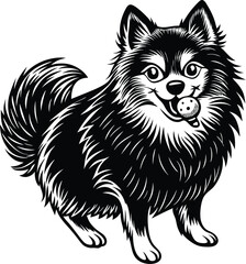 Fototapeta premium Portrait of a Pomeranian Dog Vector isolated on white background Dog Silhouettes.
