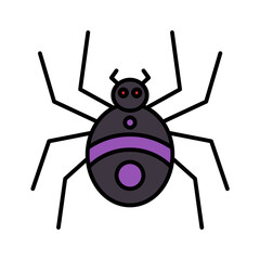 spider Halloween  Icon