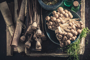 Odd herbal laboratory with ingredients and herbs as Halloween background