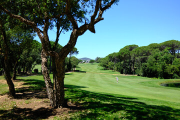 woman playing golf on the green fairway course
