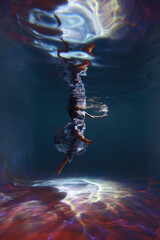 Fototapeta premium Pretty woman in colored dress full length underwater in the pool