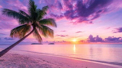 Palm Tree Silhouetted Against Pink Sunset Over Tropical Beach